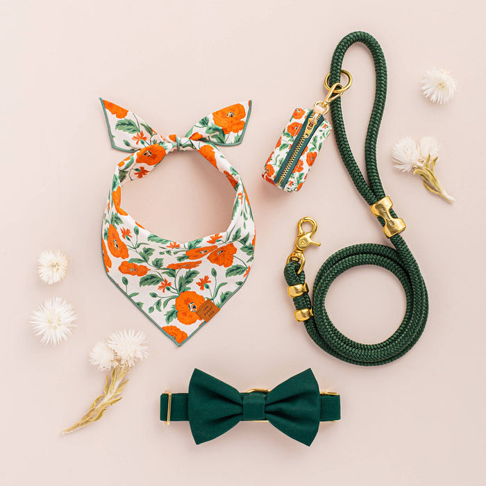 Evergreen Marine Dog Leash | 5 feet