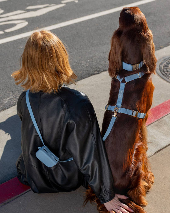 Malibu Blue 4-in-1 Convertible Hands Free Dog Leash