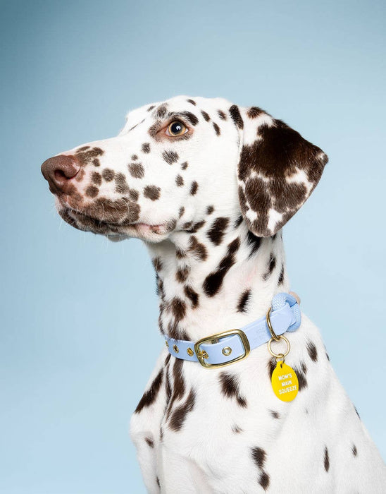 Mom's Main Squeeze Pet Tag