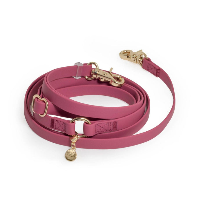 Mulberry Burgundy 4-in-1 Convertible Hands Free Dog Leash