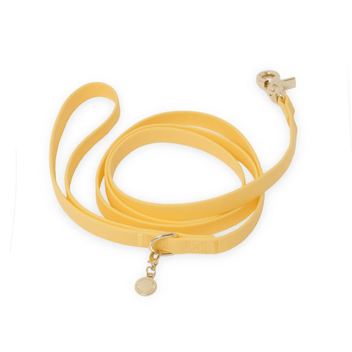 Dandelion Yellow Dog Leash