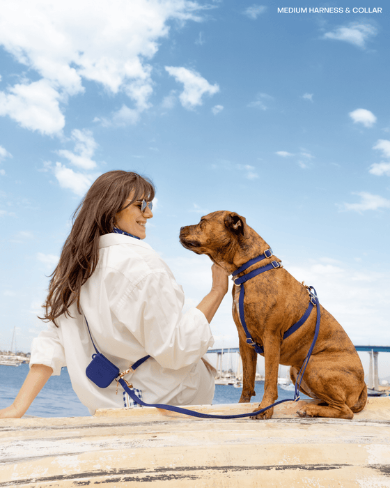 Navy 4-in-1 Convertible Hands Free Dog Leash