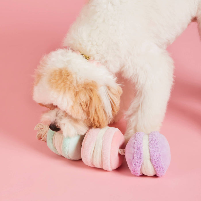 Macarons Dog Toy