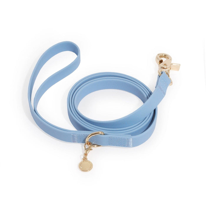 Malibu Blue Dog Leash