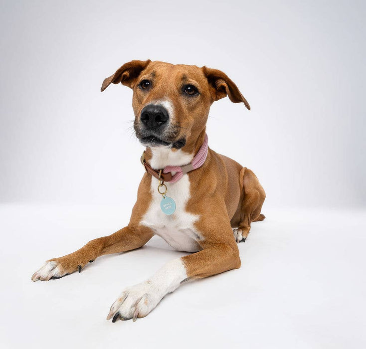 Beach Babe Pet Tag