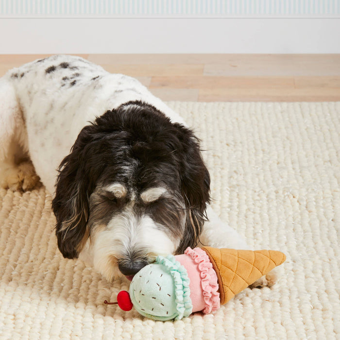 Ice Cream 2-in-1 Bounce Dog Toy
