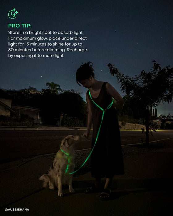 Lunar Glow 4-in-1 Convertible Hands Free Dog Leash
