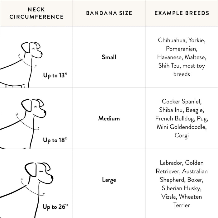 Baseball Applique Dog Bandana