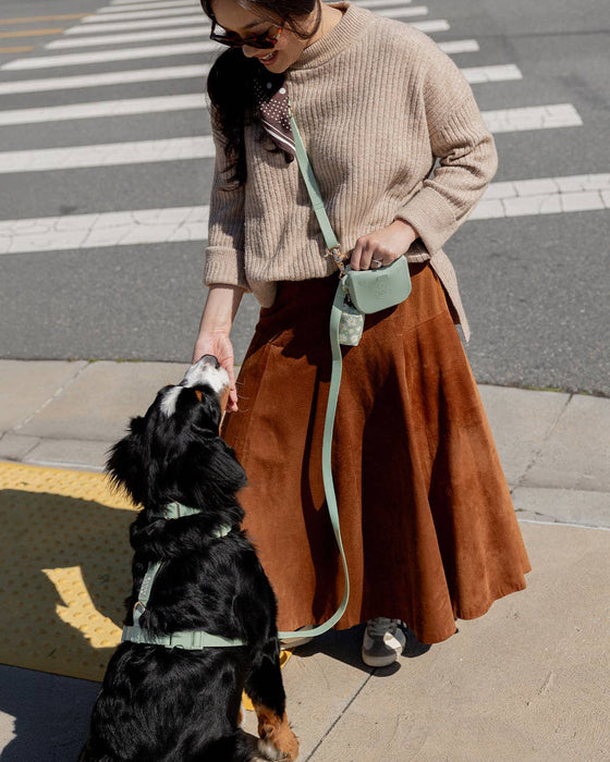 Pistachio Green 4-in-1 Convertible Hands Free Dog Leash