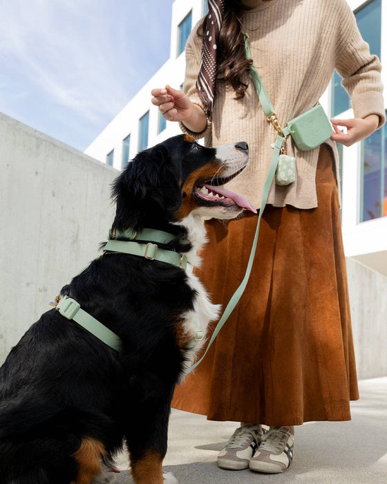 Pistachio Green 4-in-1 Convertible Hands Free Dog Leash