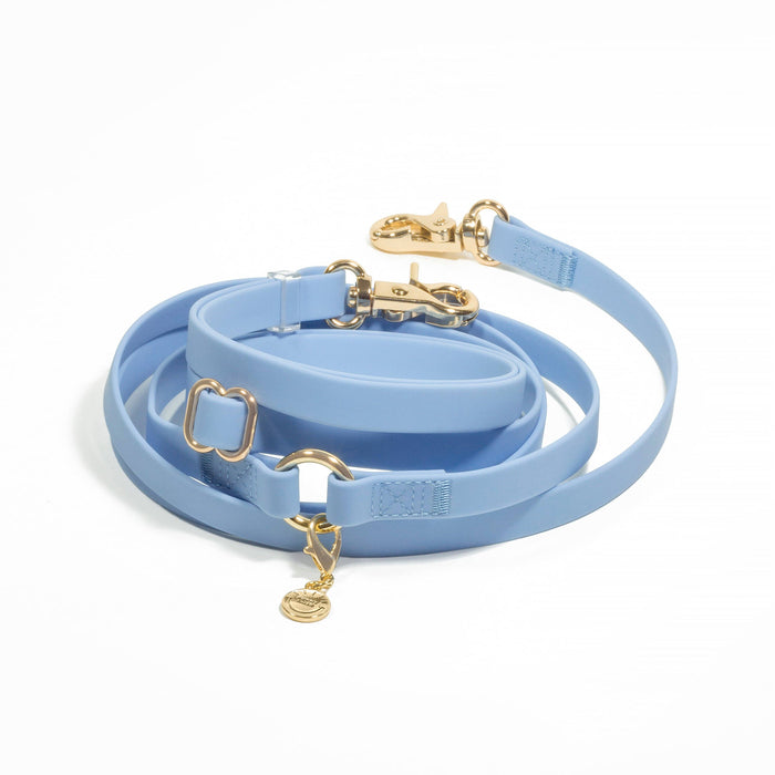 Malibu Blue 4-in-1 Convertible Hands Free Dog Leash