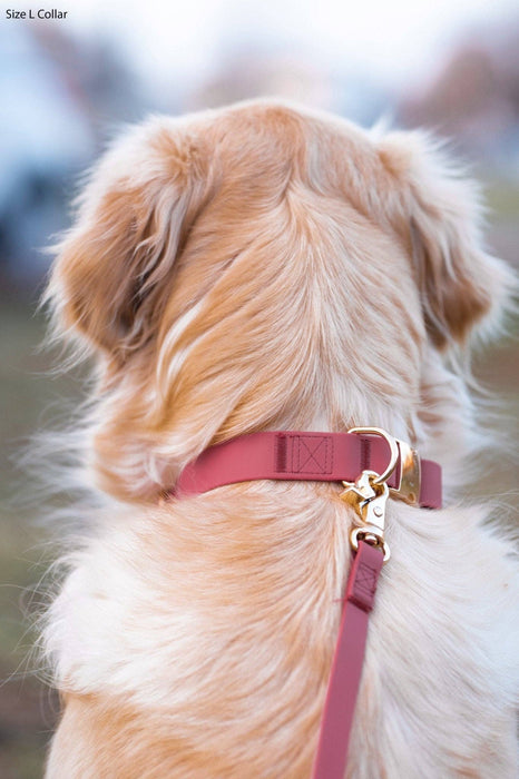 Mulberry Burgundy Dog Leash