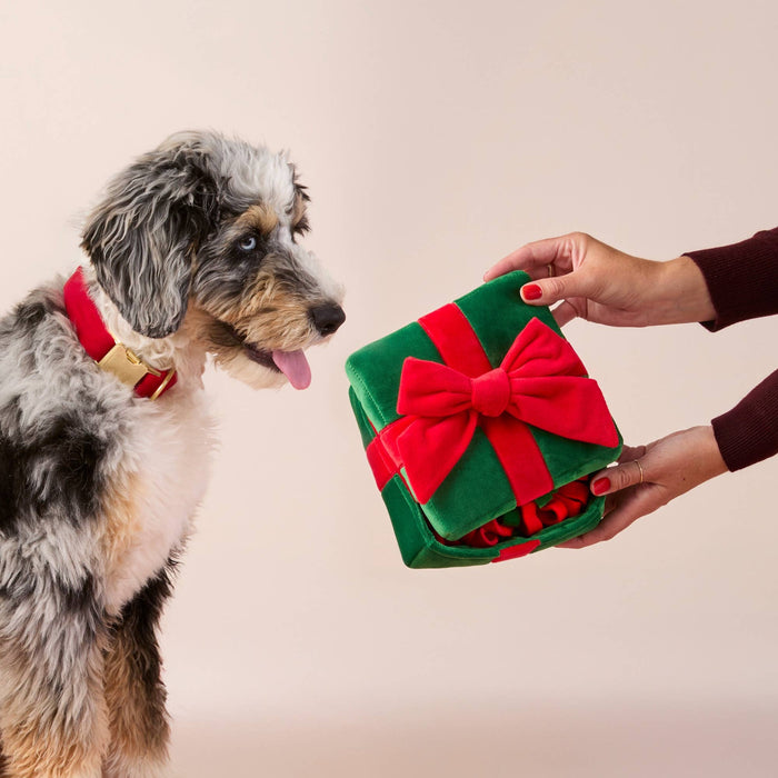 Holiday Present Interactive Dog Toy
