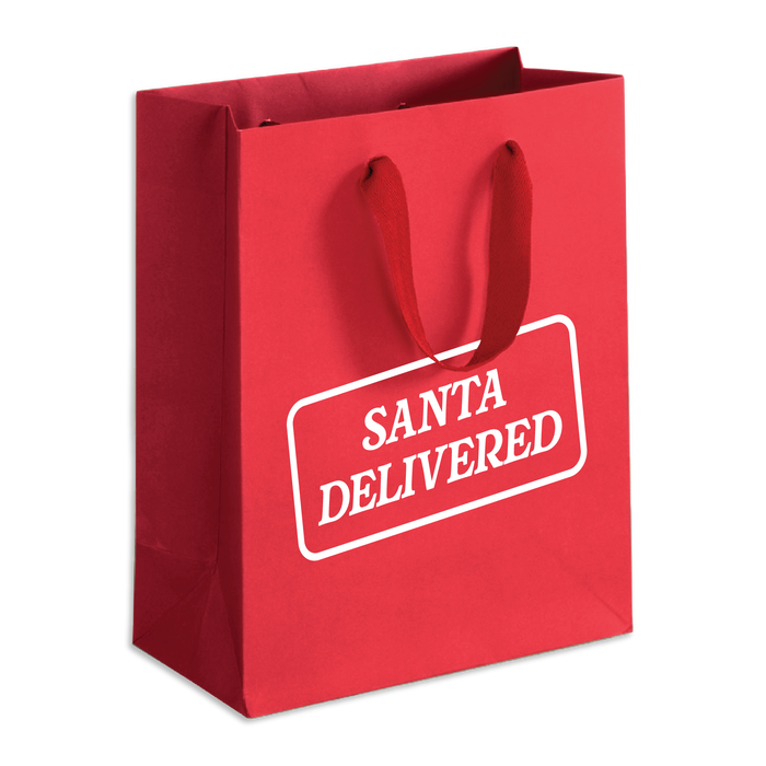 Santa Delivered Gift Bag