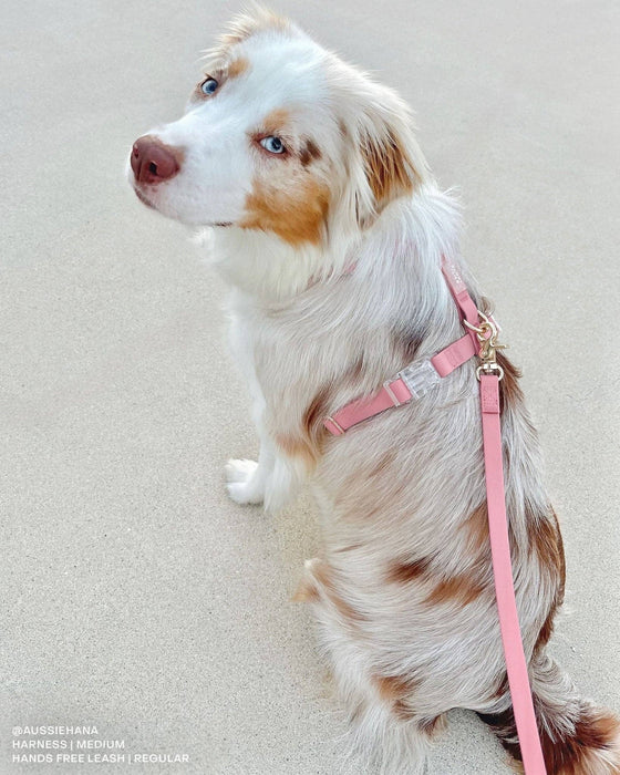 Perfect Pink Dog Leash