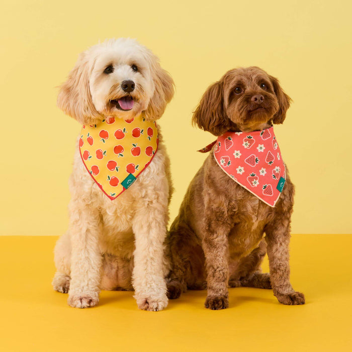 OLIPOP x TFD Crisp Apple Dog Bandana