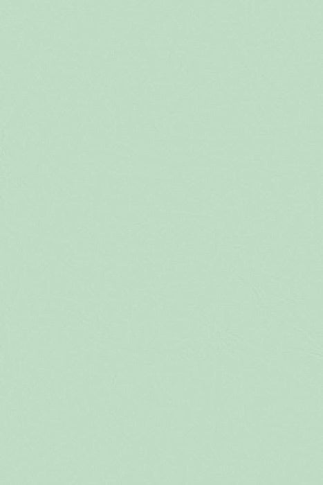 Solid Tissue Paper: Blue