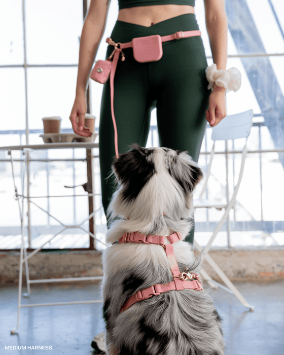 Lg Perfect Pink Dog Treat Pouch