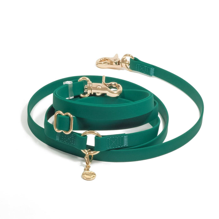 Meadow Green 4-in-1 Convertible Hands Free Dog Leash