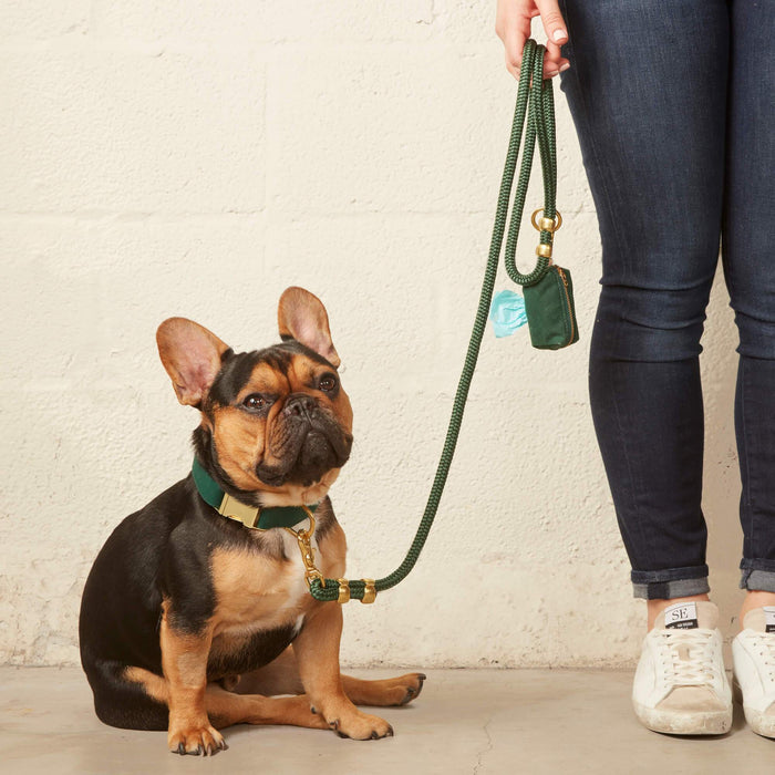 Evergreen Marine Dog Leash | 5 feet