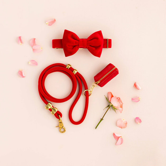 Ruby Marine Dog Leash | 5 Feet