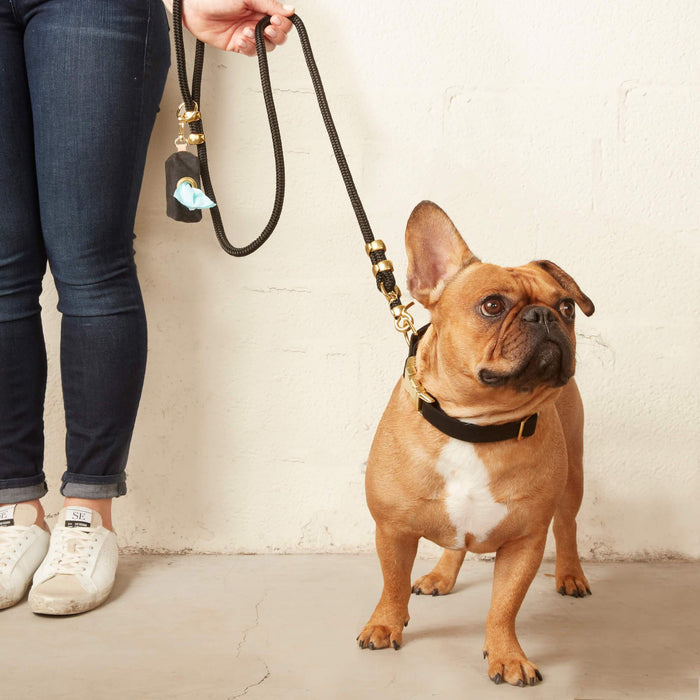 Onyx Marine Rope Dog Leash | 5 feet