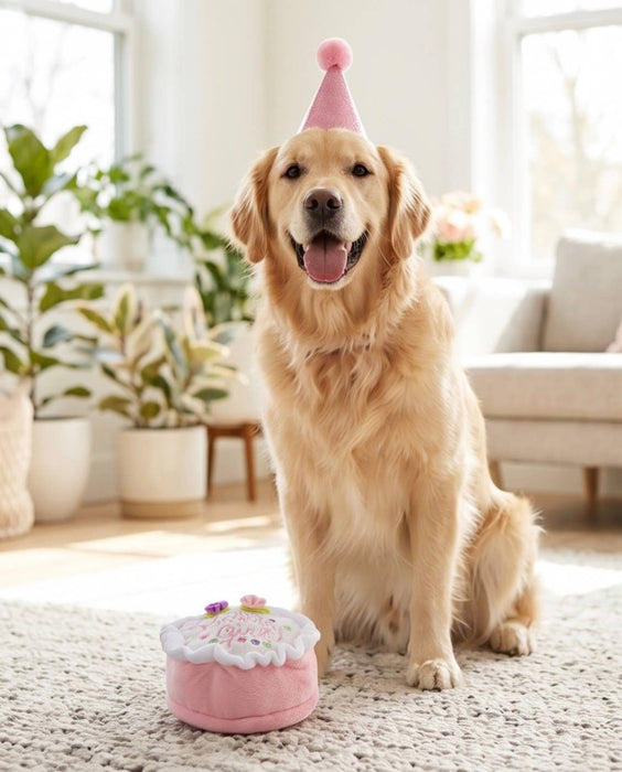 Mini Birthday Girl Dog Toy