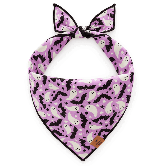 Spooky Season Reversible Dog Bandana