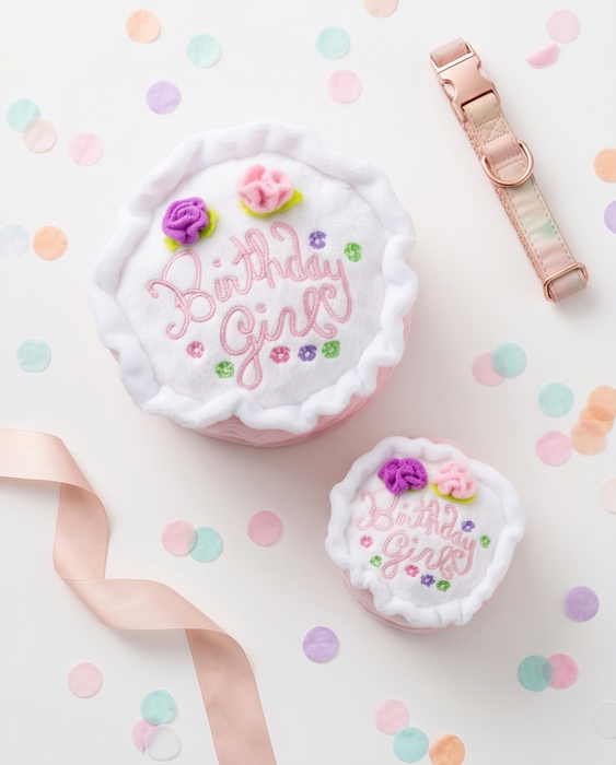 Mini Birthday Girl Dog Toy