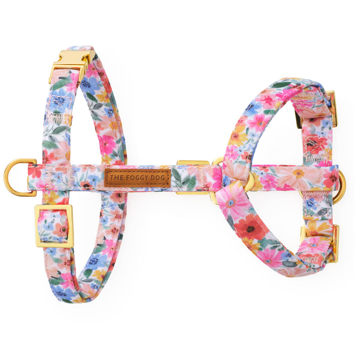 Margaux Dog Harness