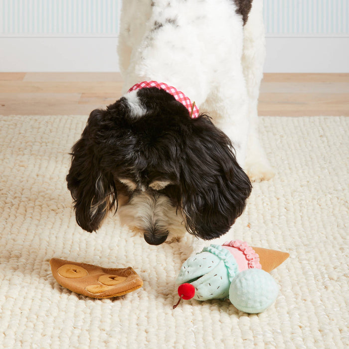 Ice Cream 2-in-1 Bounce Dog Toy