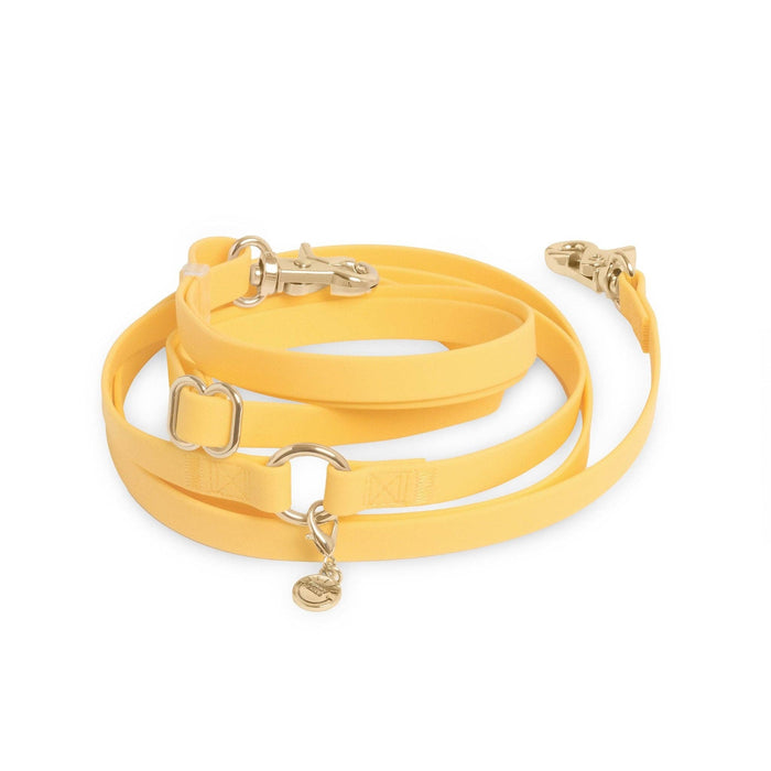Dandelion Yellow 4-in-1 Convertible Hands Free Dog Leash