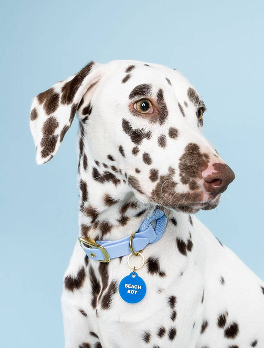 Beach Boy Pet Tag
