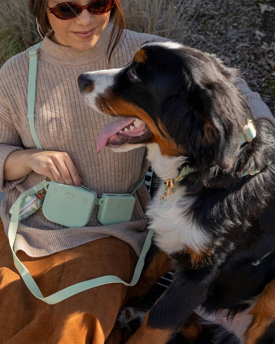 Ember Black Dog Treat Pouch
