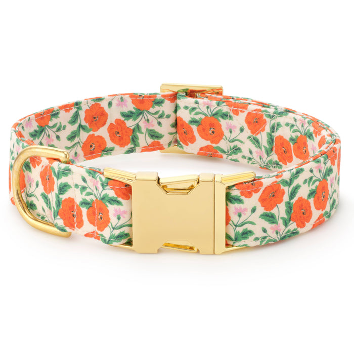 Golden Poppies Dog Collar