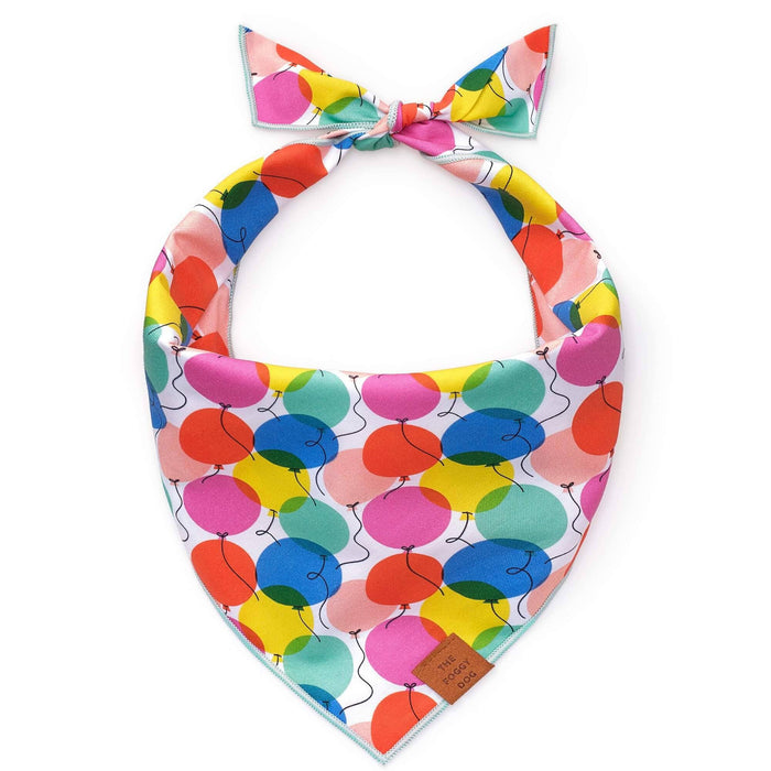 Pup, Pup, Away Birthday Dog Bandana