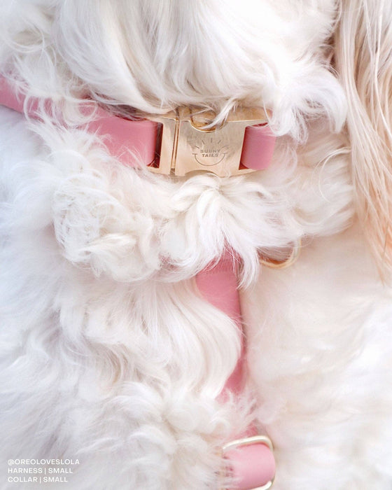 Perfect Pink Dog Collar