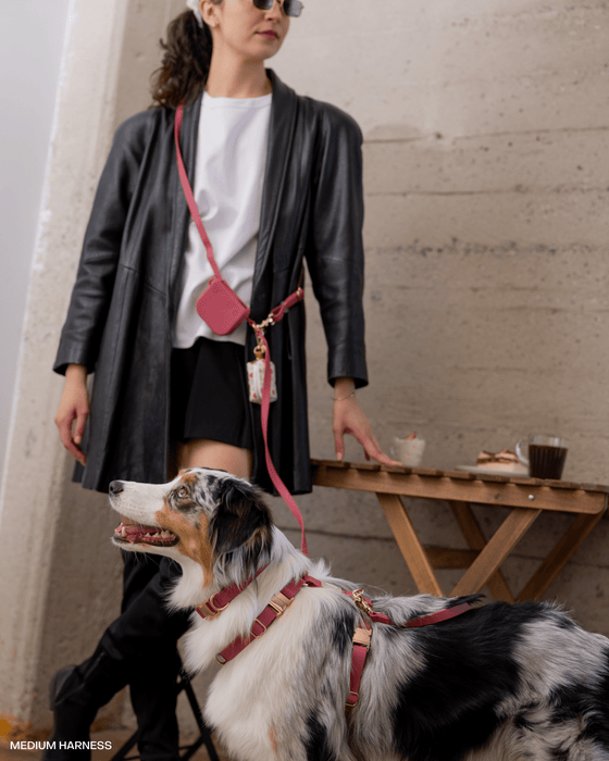 Mulberry Burgundy 4-in-1 Convertible Hands Free Dog Leash