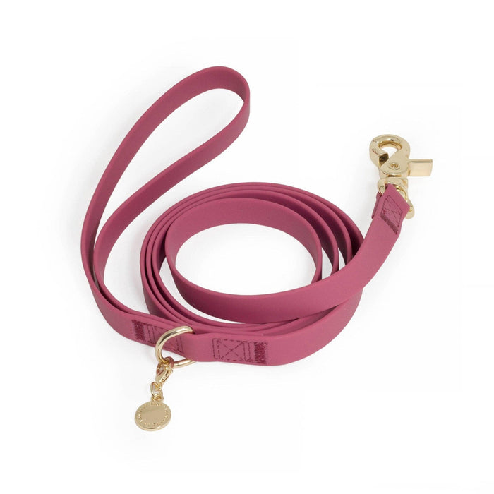 Mulberry Burgundy Dog Leash