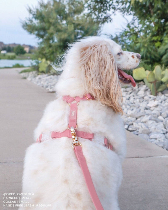 Perfect Pink Dog Leash