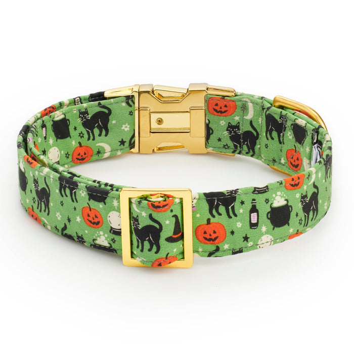 Spellbound Dog Collar