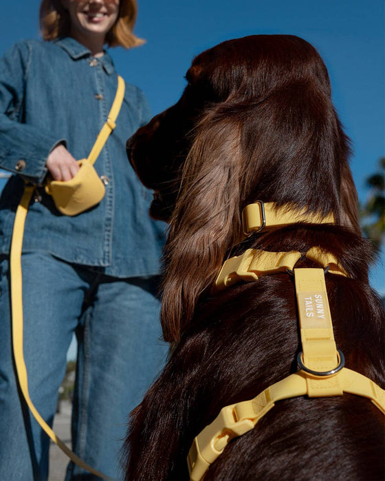 Dandelion Yellow 4-in-1 Convertible Hands Free Dog Leash