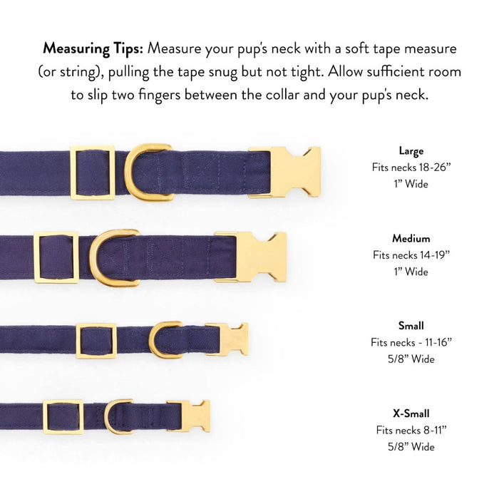 Spellbound Dog Collar