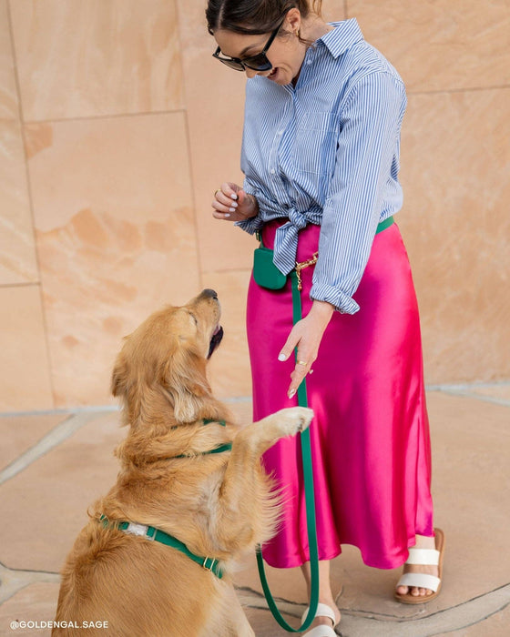 Meadow Green Dog Treat Pouch
