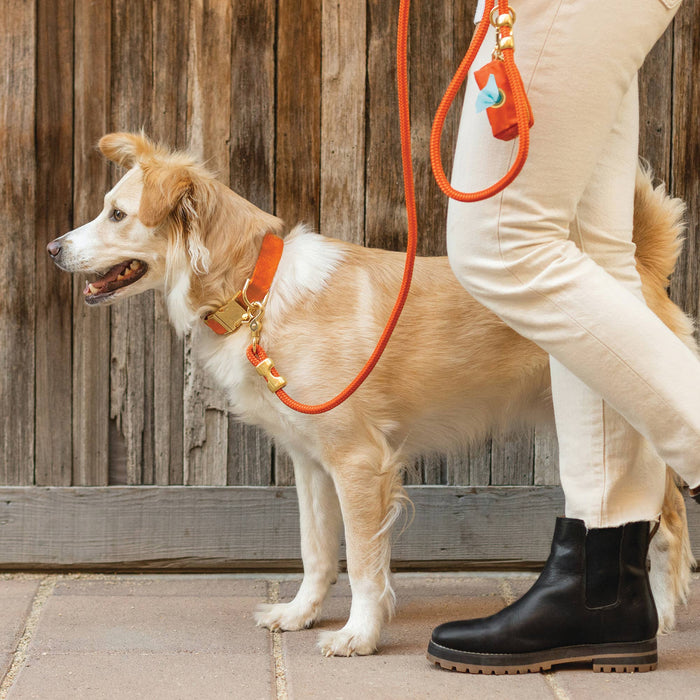 Cider Marine Rope Dog Leash | 5 Feet