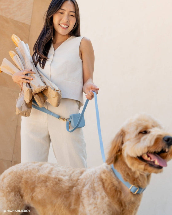 Malibu Blue 4-in-1 Convertible Hands Free Dog Leash