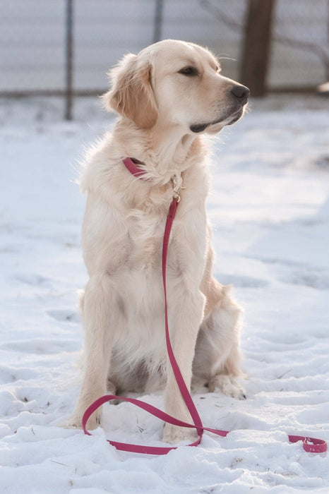 Mulberry Burgundy Dog Leash
