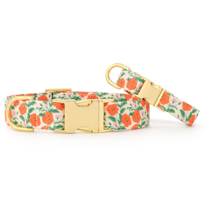 Golden Poppies Dog Collar