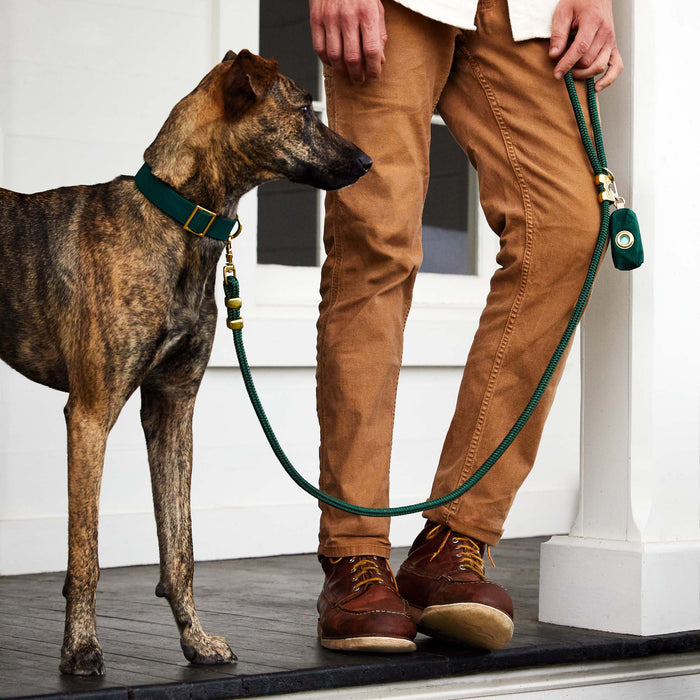 Evergreen Marine Dog Leash | 5 feet