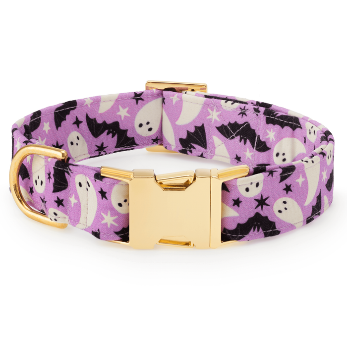 Spooky Season Glow-in-Dark Dog Collar